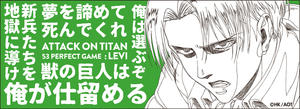 titan__towel_levi.jpg