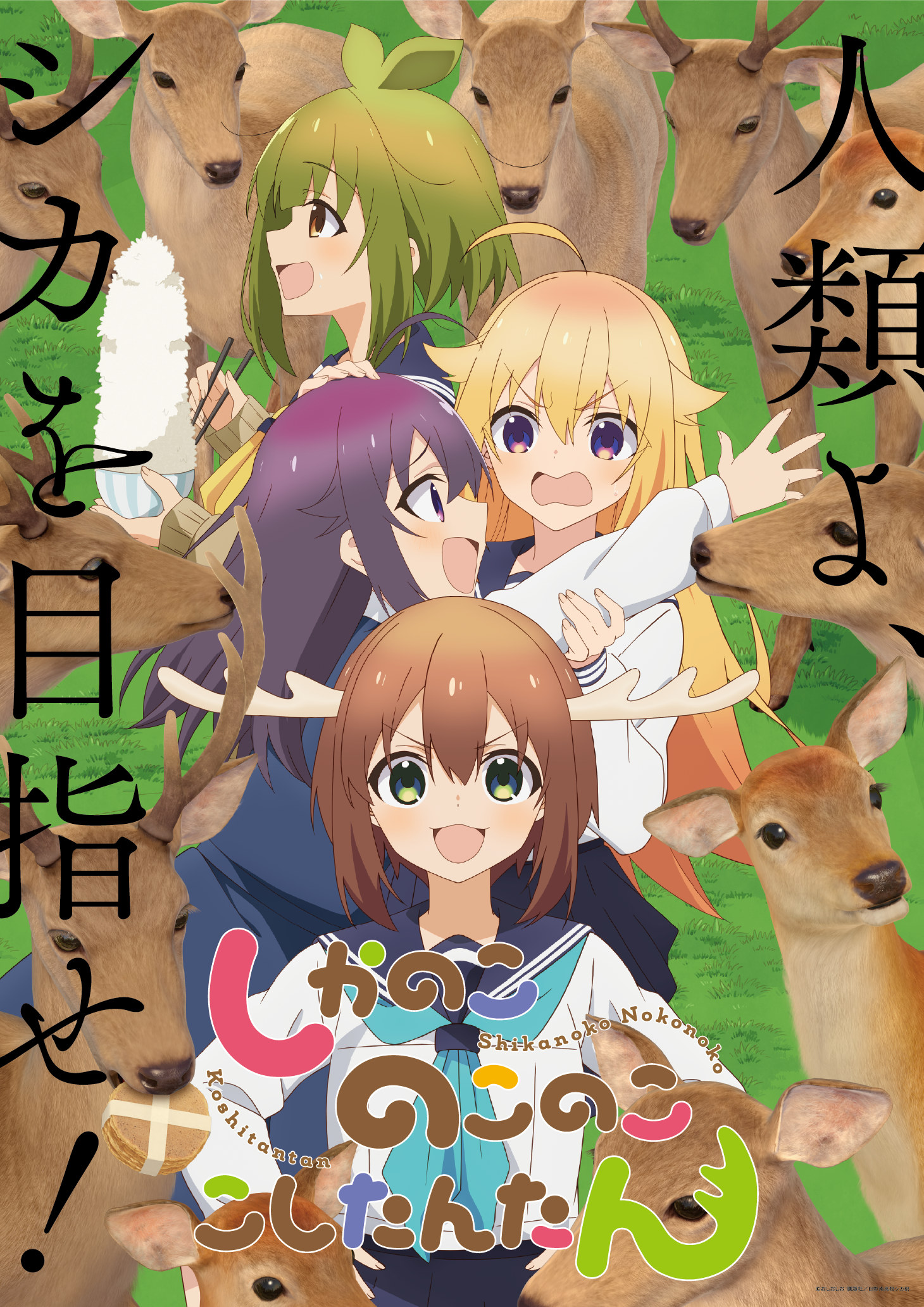 main visual